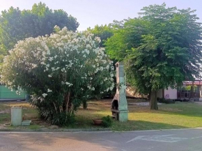 L'Oasi di Lulu'